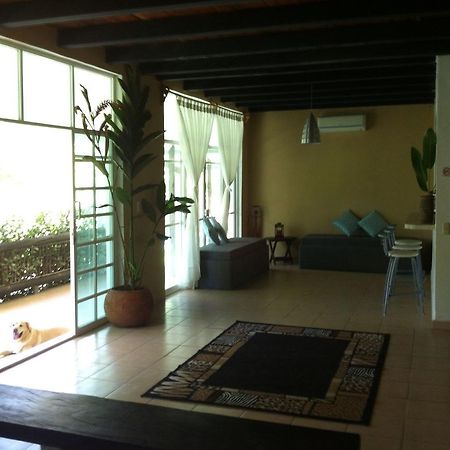 ホテルCasa Guacamaya パレンケ エクステリア 写真