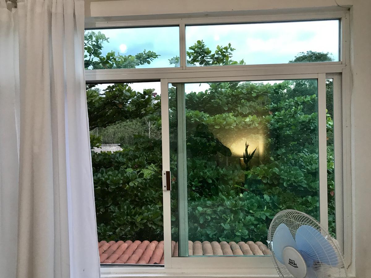 ホテルCasa Guacamaya パレンケ エクステリア 写真