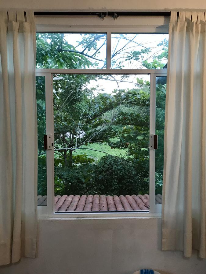 ホテルCasa Guacamaya パレンケ エクステリア 写真