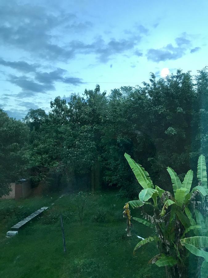 ホテルCasa Guacamaya パレンケ エクステリア 写真
