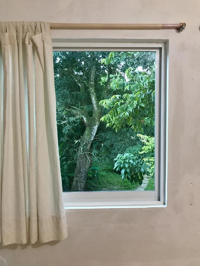ホテルCasa Guacamaya パレンケ エクステリア 写真